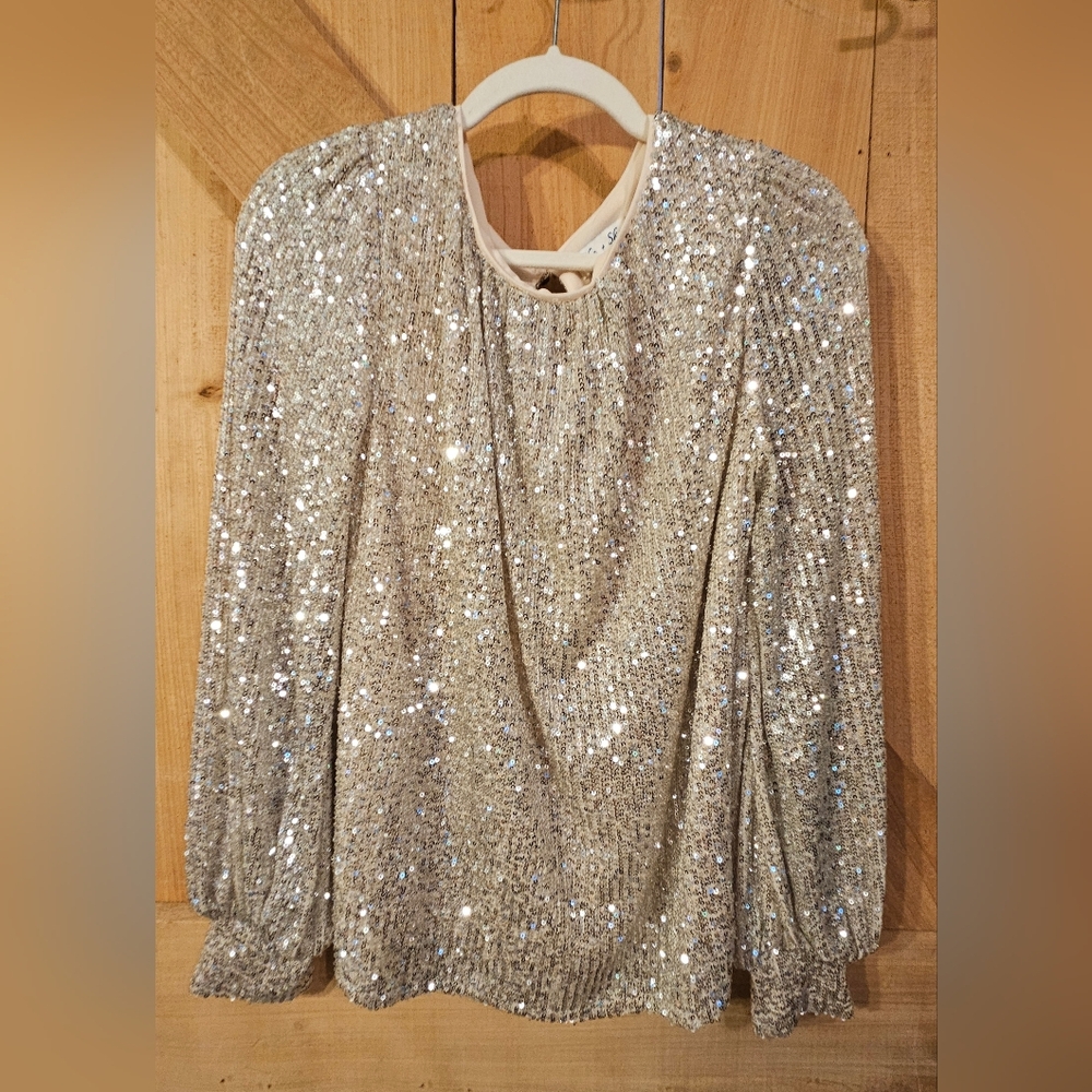 She + Sky Silver Sequin Long Sleeve Blouse